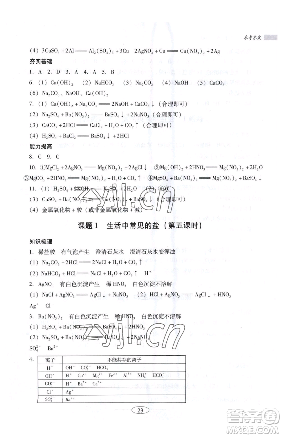 廣東教育出版社2023南方新課堂金牌學案九年級下冊化學人教版珠海專版參考答案