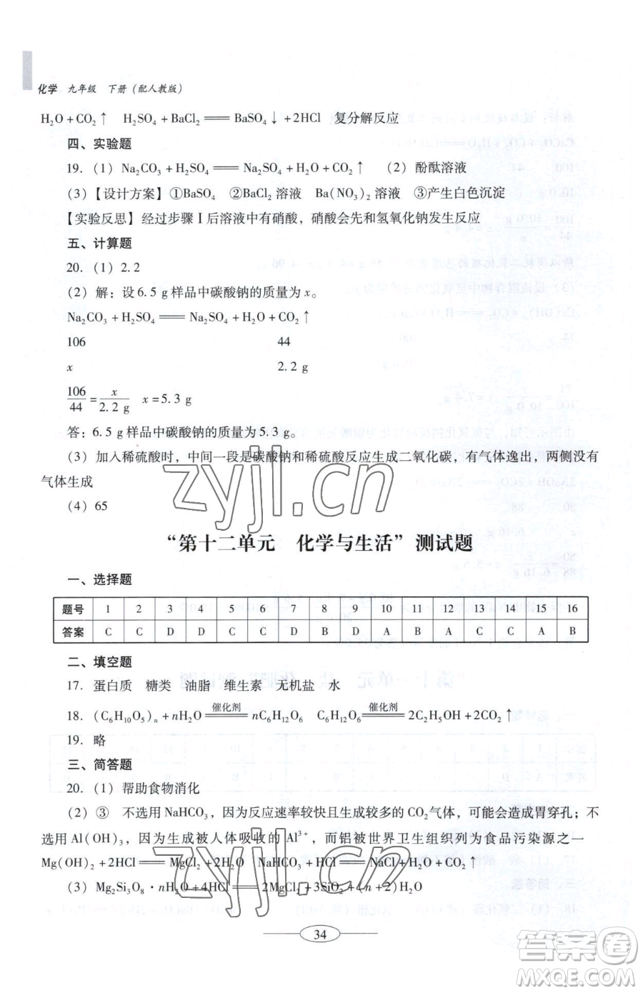 廣東教育出版社2023南方新課堂金牌學案九年級下冊化學人教版珠海專版參考答案