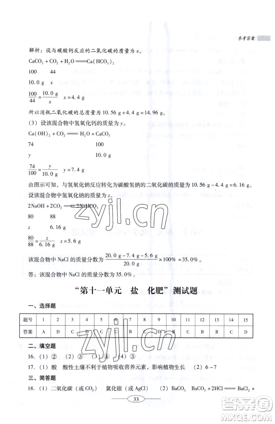廣東教育出版社2023南方新課堂金牌學案九年級下冊化學人教版珠海專版參考答案