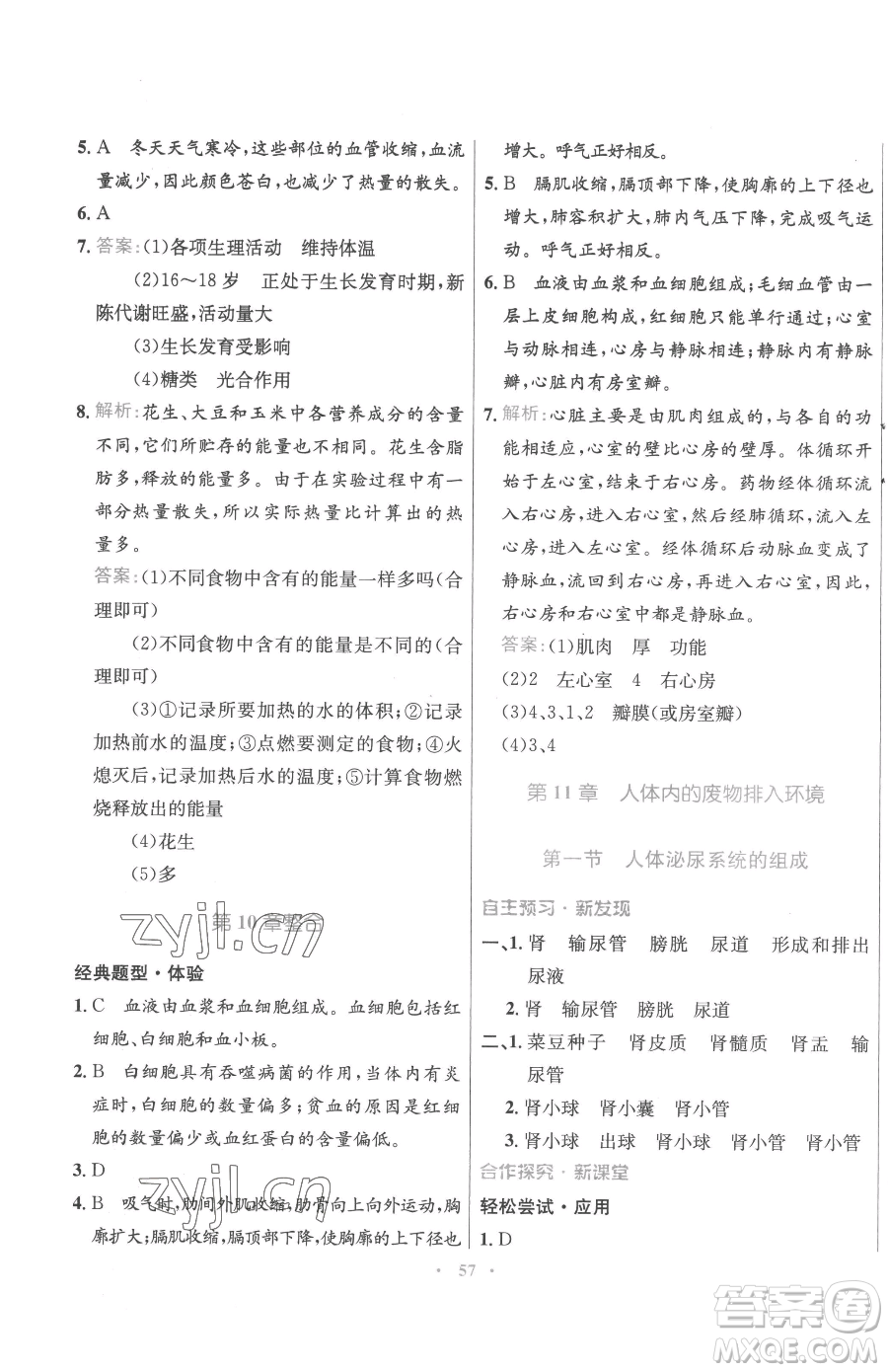 廣東教育出版社2023南方新課堂金牌學(xué)案七年級下冊生物蘇教版參考答案