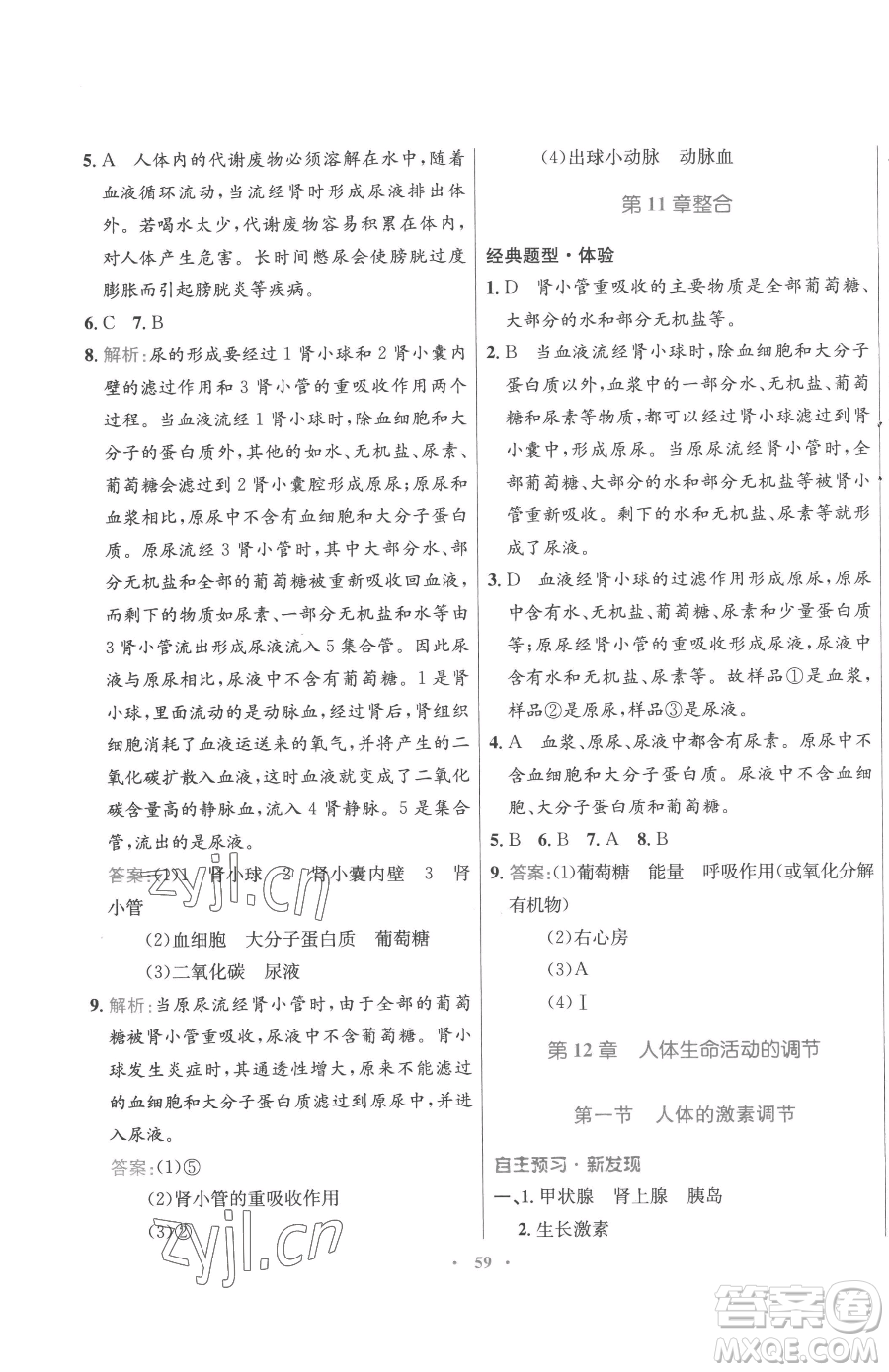 廣東教育出版社2023南方新課堂金牌學(xué)案七年級下冊生物蘇教版參考答案