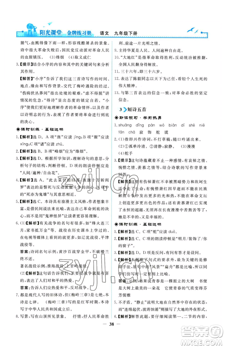 人民教育出版社2023陽光課堂金牌練習(xí)冊九年級下冊語文人教版參考答案