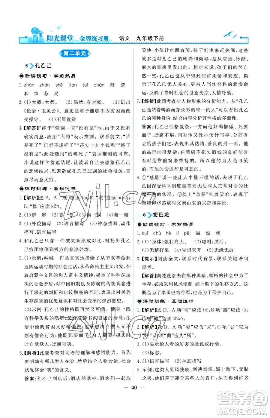 人民教育出版社2023陽光課堂金牌練習(xí)冊九年級下冊語文人教版參考答案