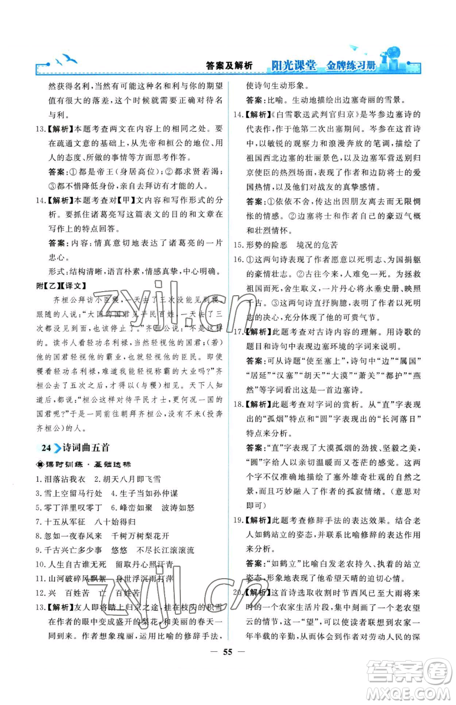 人民教育出版社2023陽光課堂金牌練習(xí)冊九年級下冊語文人教版參考答案