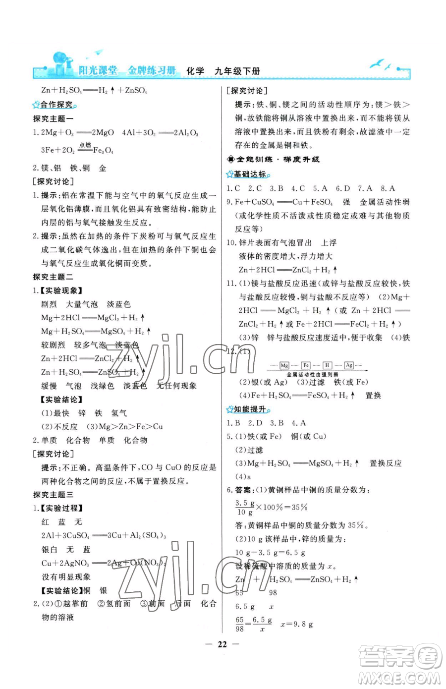 人民教育出版社2023陽光課堂金牌練習(xí)冊九年級(jí)下冊化學(xué)人教版參考答案