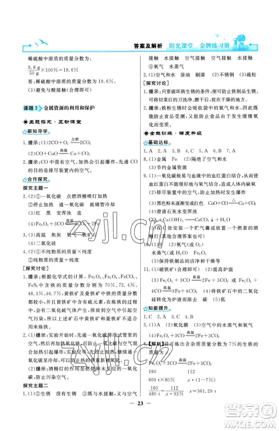 人民教育出版社2023陽光課堂金牌練習(xí)冊九年級(jí)下冊化學(xué)人教版參考答案