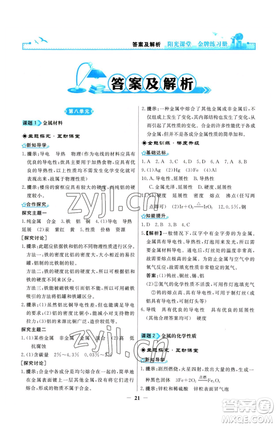人民教育出版社2023陽光課堂金牌練習(xí)冊九年級(jí)下冊化學(xué)人教版參考答案
