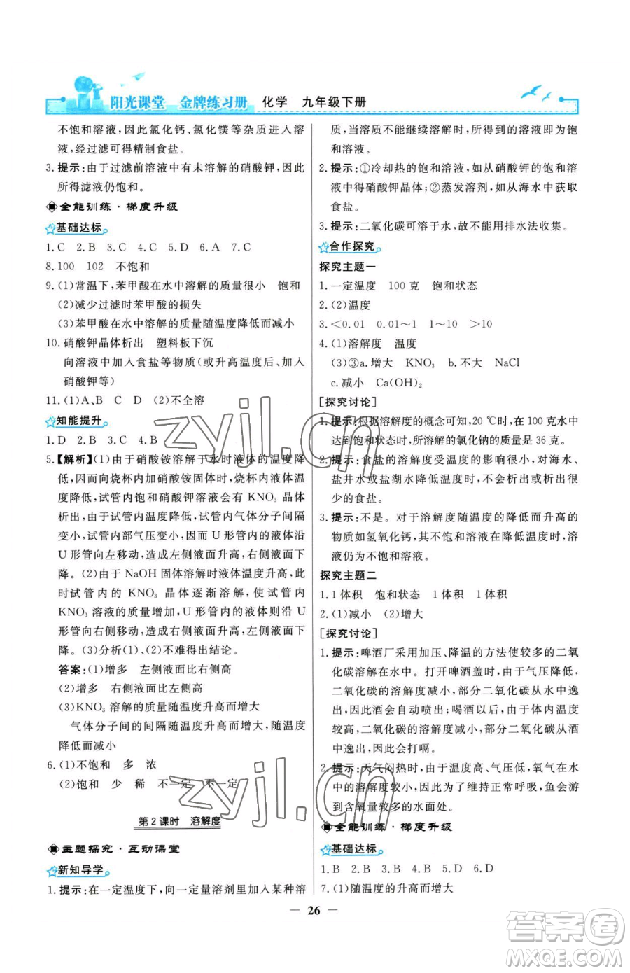 人民教育出版社2023陽光課堂金牌練習(xí)冊九年級(jí)下冊化學(xué)人教版參考答案