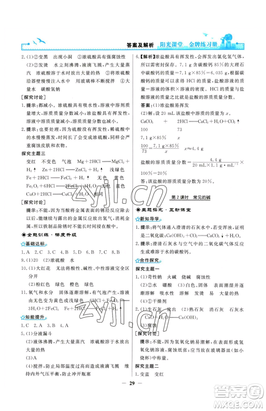 人民教育出版社2023陽光課堂金牌練習(xí)冊九年級(jí)下冊化學(xué)人教版參考答案