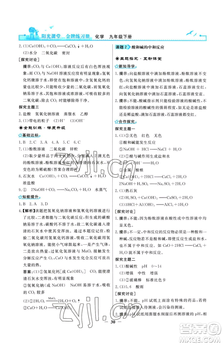 人民教育出版社2023陽光課堂金牌練習(xí)冊九年級(jí)下冊化學(xué)人教版參考答案
