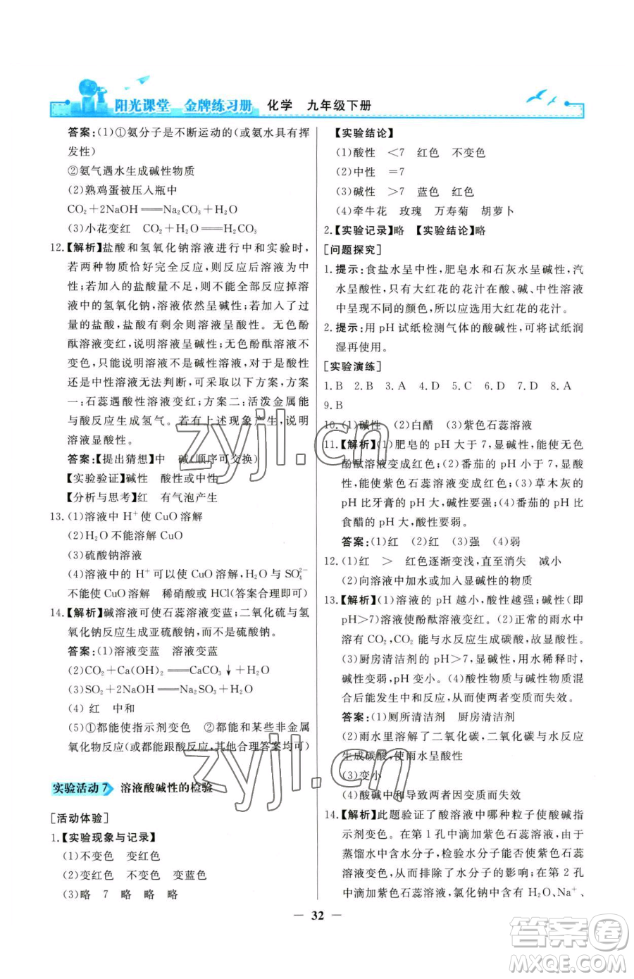人民教育出版社2023陽光課堂金牌練習(xí)冊九年級(jí)下冊化學(xué)人教版參考答案