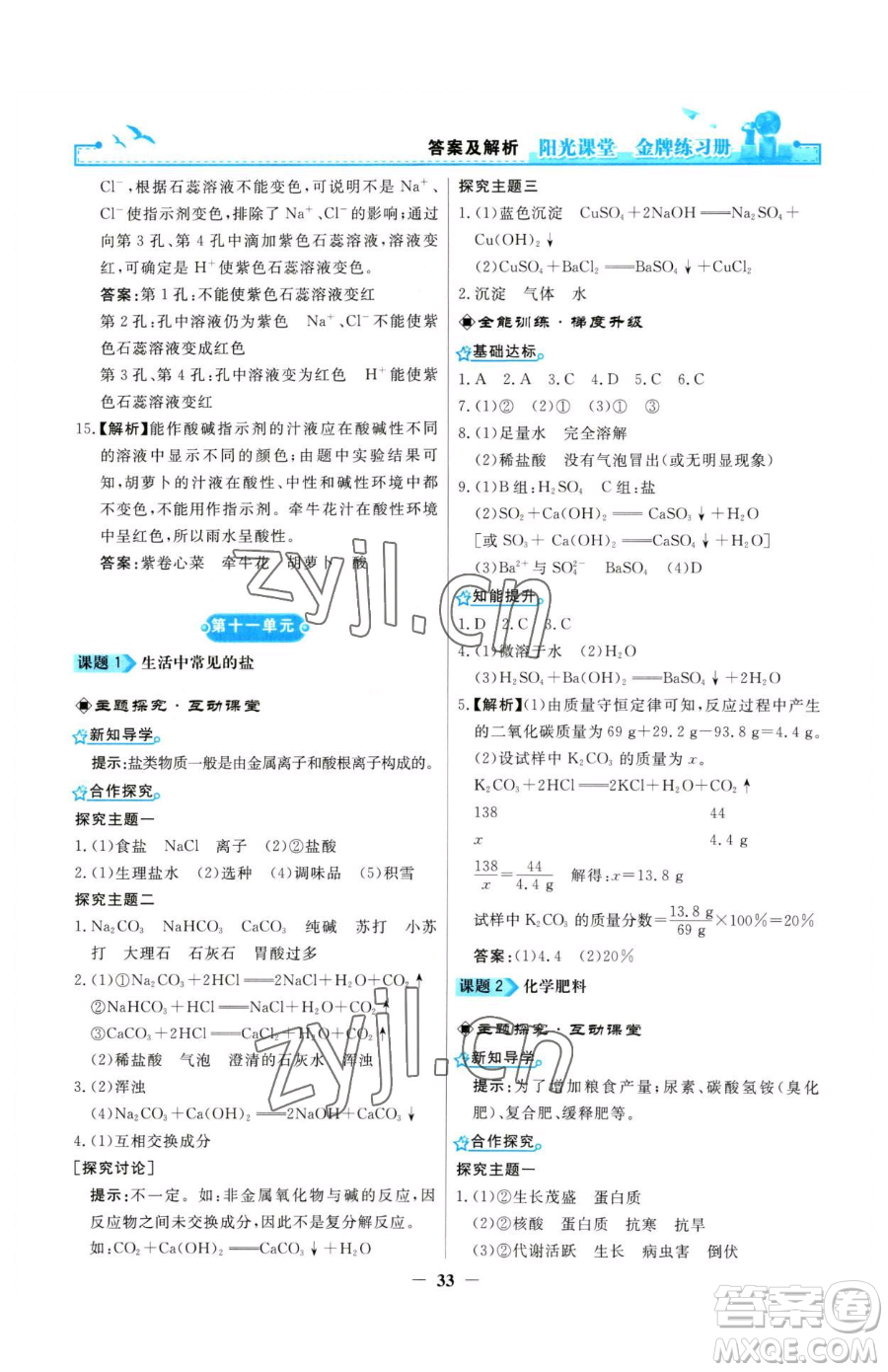 人民教育出版社2023陽光課堂金牌練習(xí)冊九年級(jí)下冊化學(xué)人教版參考答案