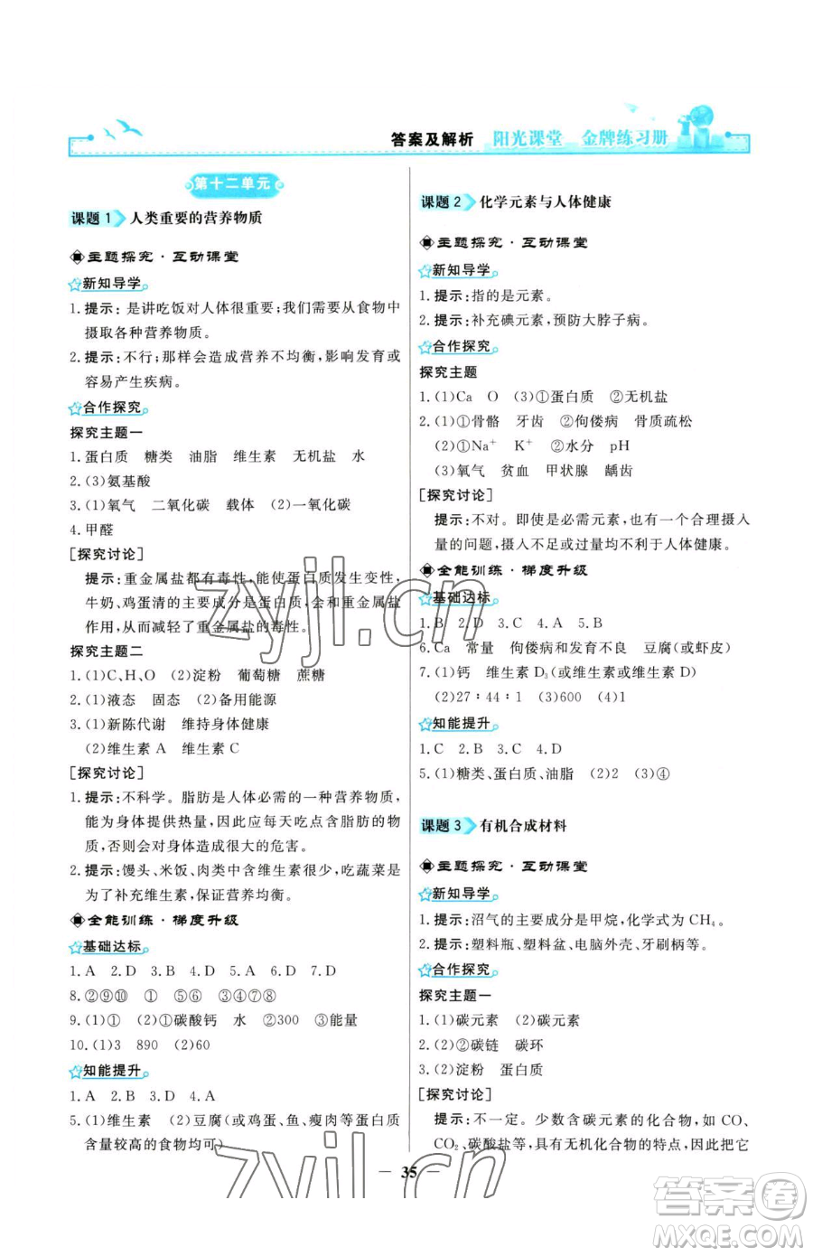 人民教育出版社2023陽光課堂金牌練習(xí)冊九年級(jí)下冊化學(xué)人教版參考答案
