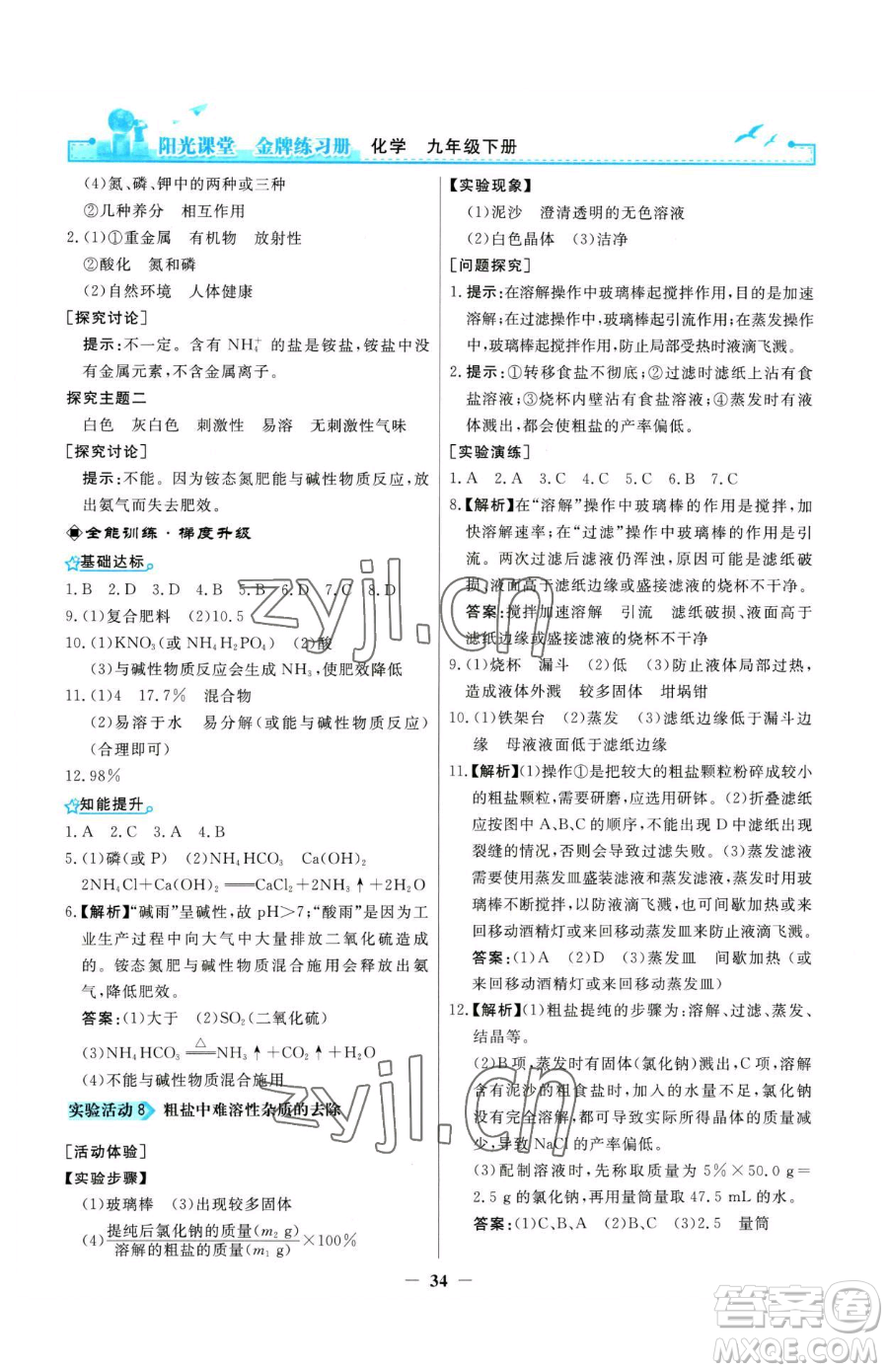 人民教育出版社2023陽光課堂金牌練習(xí)冊九年級(jí)下冊化學(xué)人教版參考答案