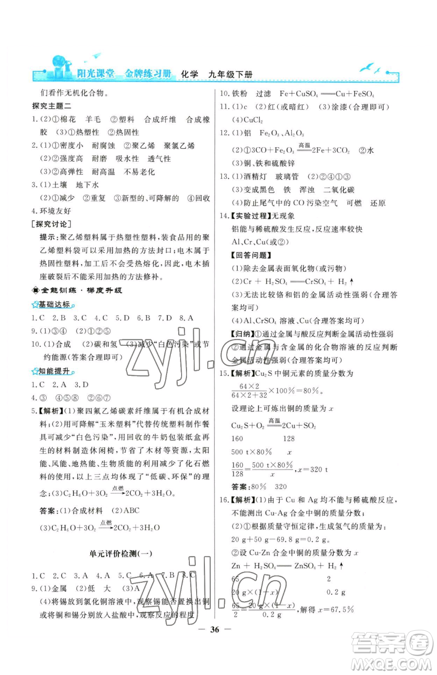 人民教育出版社2023陽光課堂金牌練習(xí)冊九年級(jí)下冊化學(xué)人教版參考答案