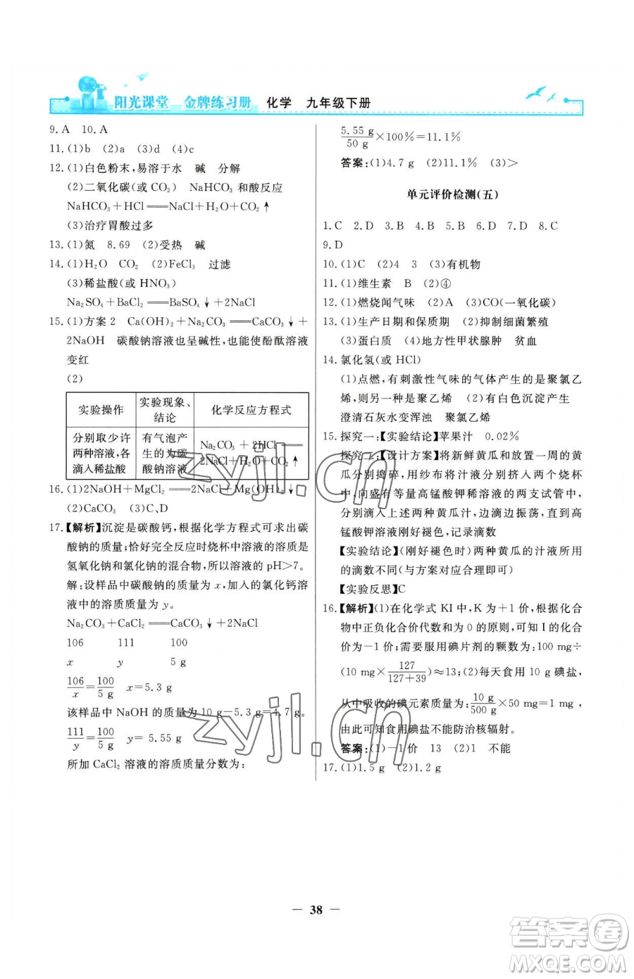 人民教育出版社2023陽光課堂金牌練習(xí)冊九年級(jí)下冊化學(xué)人教版參考答案