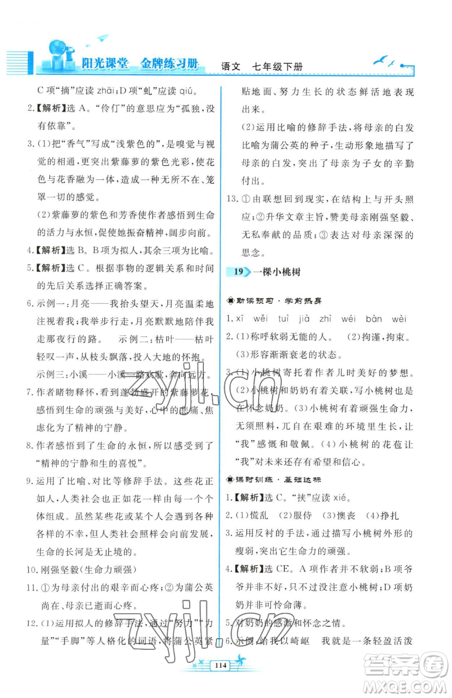 人民教育出版社2023陽(yáng)光課堂金牌練習(xí)冊(cè)七年級(jí)下冊(cè)語(yǔ)文人教版福建專版參考答案