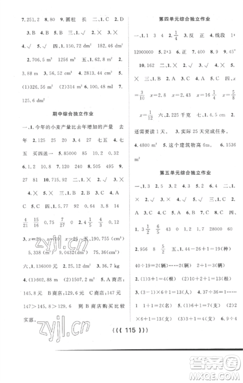 長(zhǎng)江少年兒童出版社2023優(yōu)質(zhì)課堂導(dǎo)學(xué)案六年級(jí)數(shù)學(xué)下冊(cè)人教版參考答案