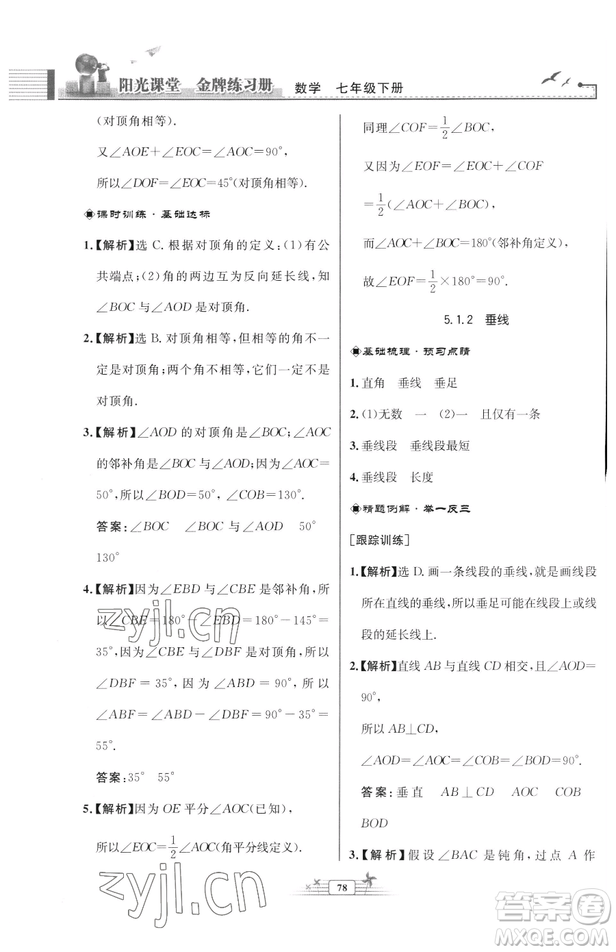 人民教育出版社2023陽光課堂金牌練習(xí)冊七年級下冊數(shù)學(xué)人教版福建專版參考答案