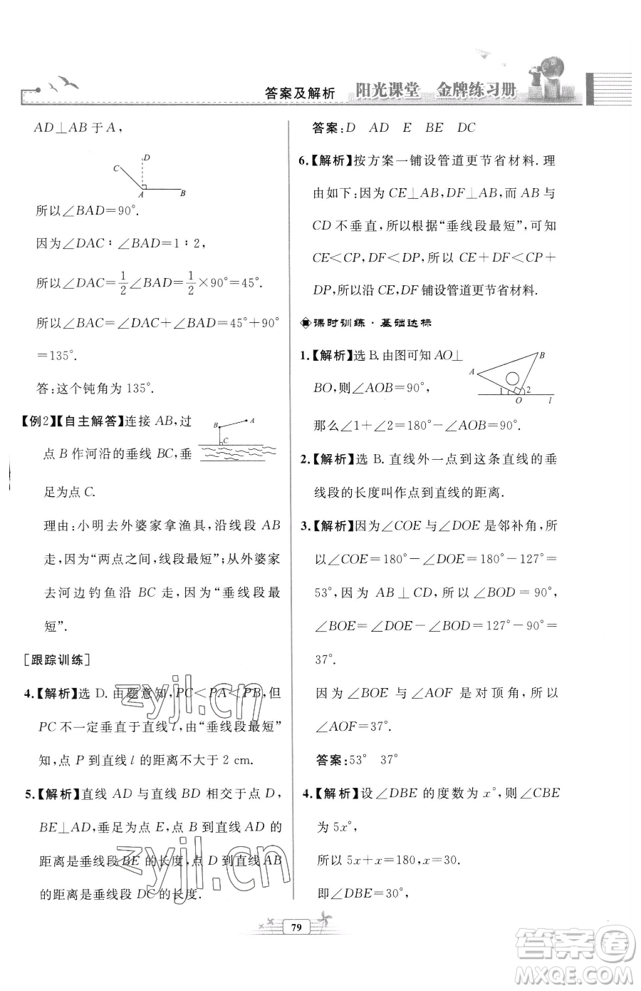 人民教育出版社2023陽光課堂金牌練習(xí)冊七年級下冊數(shù)學(xué)人教版福建專版參考答案