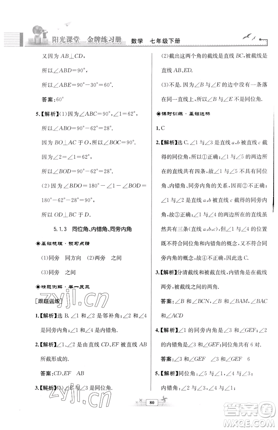 人民教育出版社2023陽光課堂金牌練習(xí)冊七年級下冊數(shù)學(xué)人教版福建專版參考答案