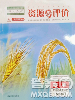 黑龍江教育出版社2023資源與評(píng)價(jià)七年級(jí)下冊(cè)數(shù)學(xué)人教版參考答案