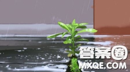 我___所以我幸福為題作文600字 關于我___所以我幸福為題的作文600字