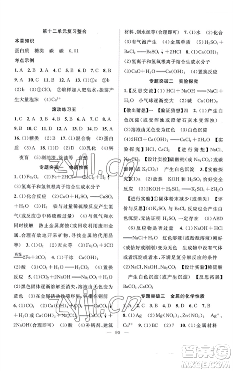 長江少年兒童出版社2023優(yōu)質課堂導學案B課后作業(yè)九年級化學下冊人教版參考答案