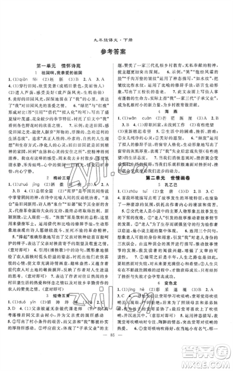 長江少年兒童出版社2023優(yōu)質(zhì)課堂導(dǎo)學(xué)案B課后作業(yè)九年級語文下冊人教版參考答案
