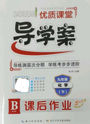 長江少年兒童出版社2023優(yōu)質課堂導學案B課后作業(yè)九年級化學下冊人教版參考答案
