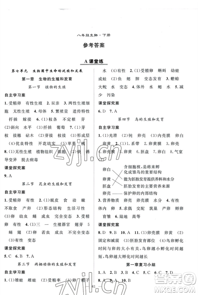 長江少年兒童出版社2023優(yōu)質(zhì)課堂導(dǎo)學(xué)案B自主作業(yè)八年級生物下冊人教版參考答案