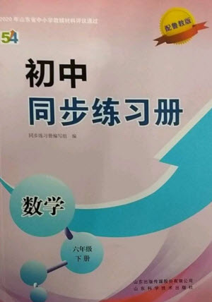 山東科學(xué)技術(shù)出版社2023初中同步練習(xí)冊(cè)六年級(jí)數(shù)學(xué)下冊(cè)魯教版五四制參考答案