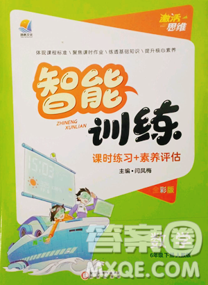 陽光出版社2023激活思維智能訓練六年級下冊數(shù)學人教版參考答案