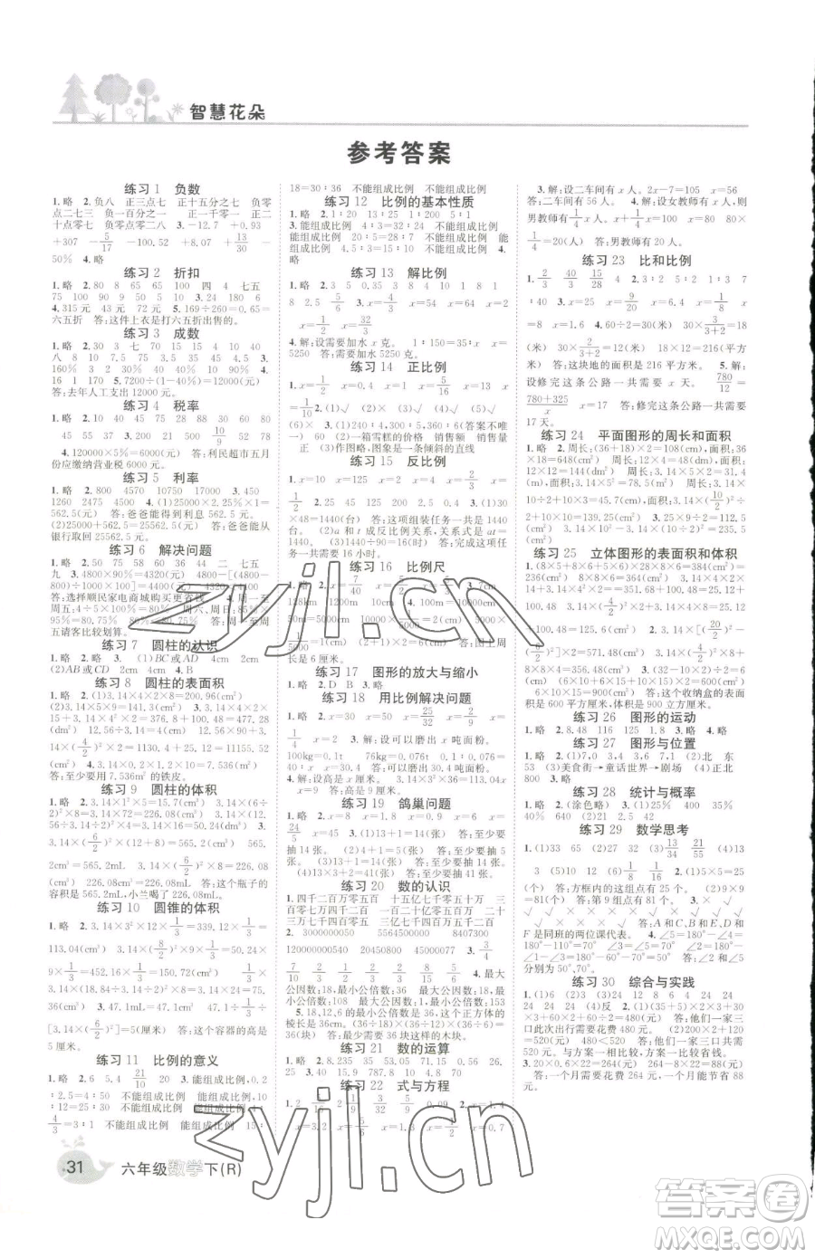 天津科學技術出版社2023智慧花朵六年級下冊數(shù)學人教版參考答案