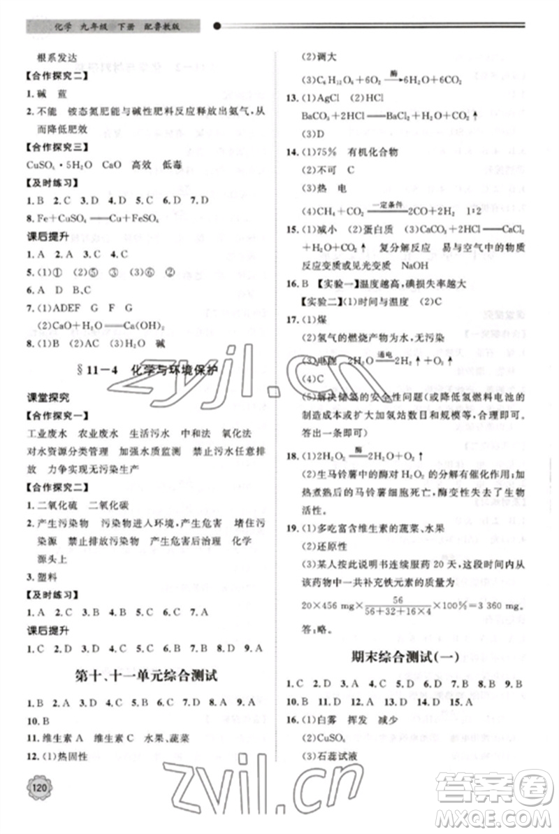 明天出版社2023初中同步練習(xí)冊(cè)九年級(jí)化學(xué)下冊(cè)魯教版參考答案