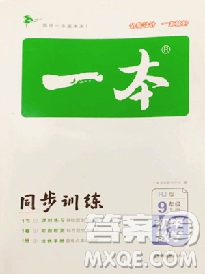 湖南教育出版社2023一本同步訓(xùn)練九年級(jí)下冊(cè)數(shù)學(xué)人教版參考答案