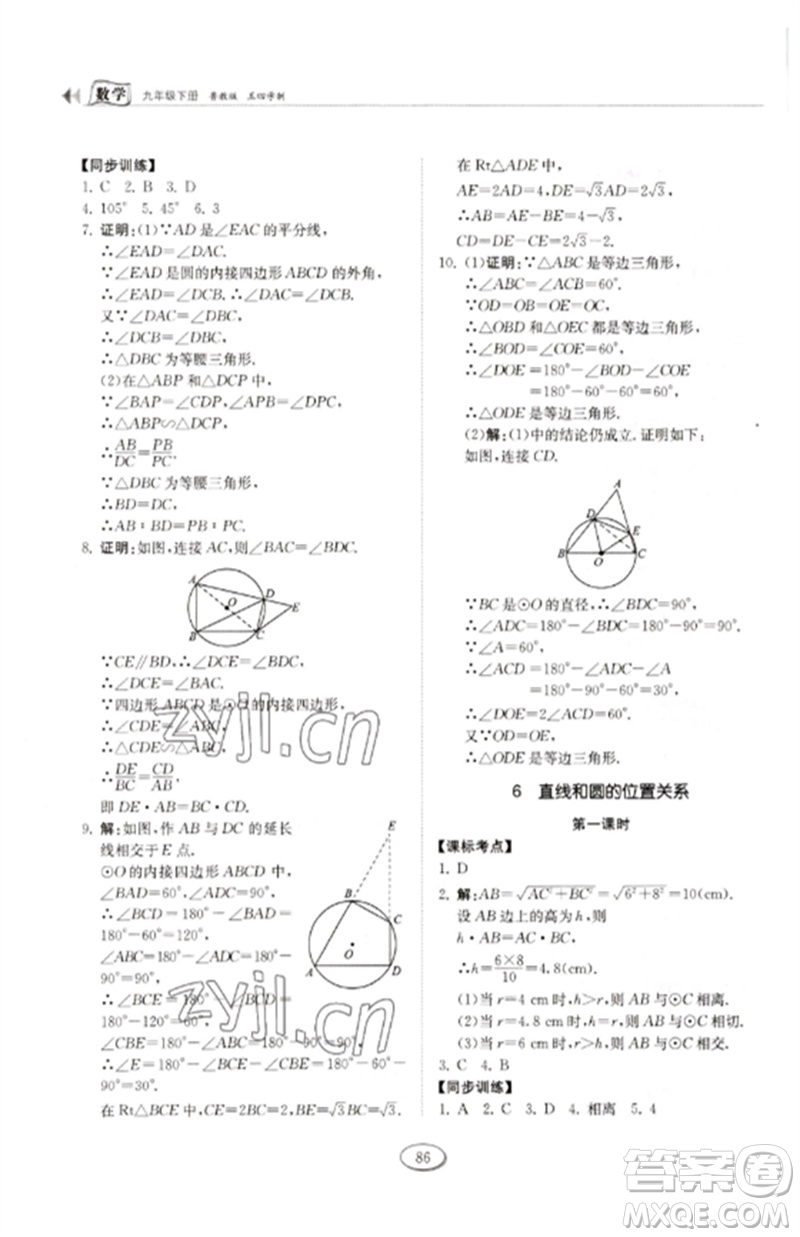 山東科學(xué)技術(shù)出版社2023初中同步練習(xí)冊九年級數(shù)學(xué)下冊魯教版五四制參考答案