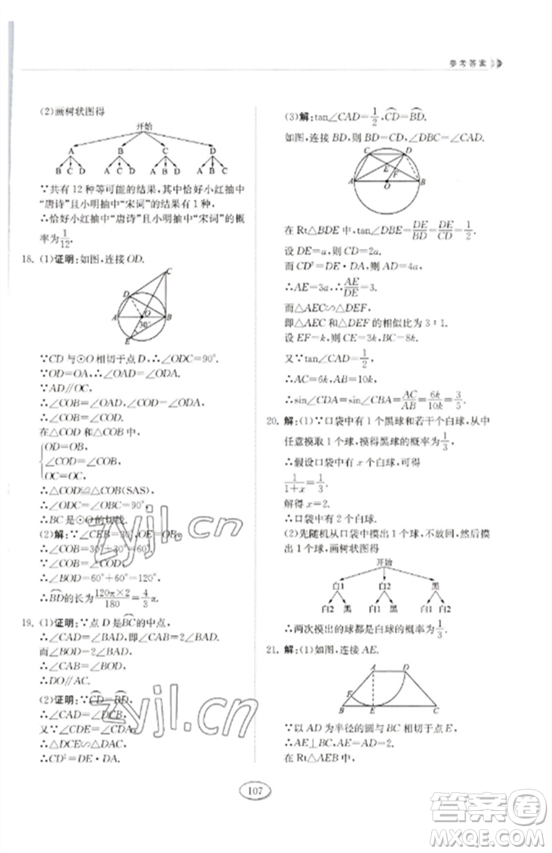 山東科學(xué)技術(shù)出版社2023初中同步練習(xí)冊九年級數(shù)學(xué)下冊魯教版五四制參考答案