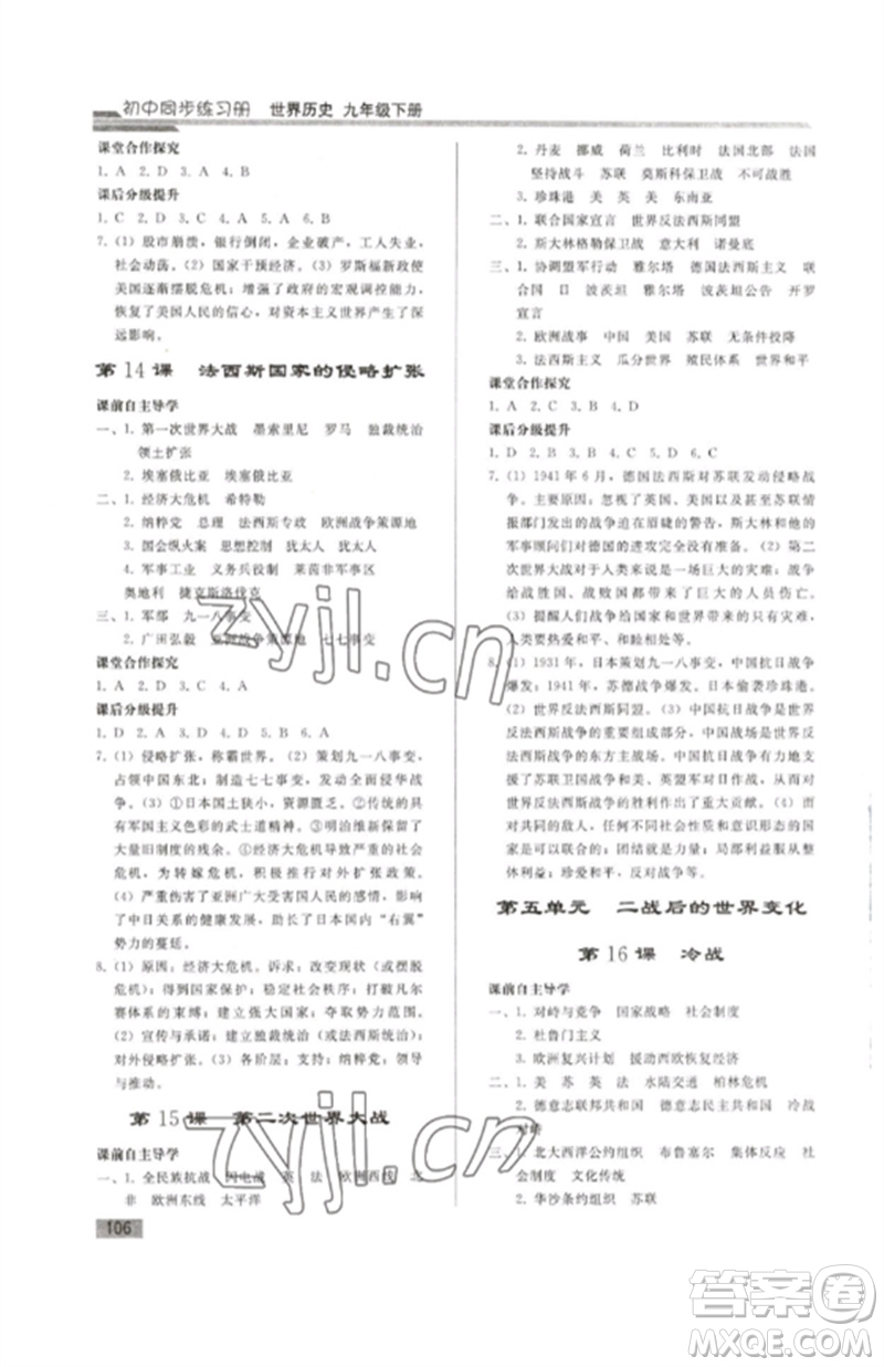 人民教育出版社2023初中同步練習(xí)冊九年級(jí)世界歷史下冊人教版參考答案