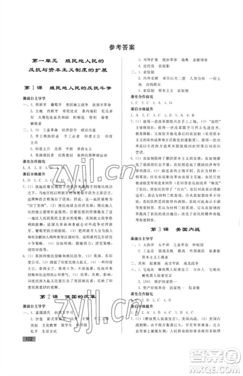 人民教育出版社2023初中同步練習(xí)冊九年級(jí)世界歷史下冊人教版參考答案