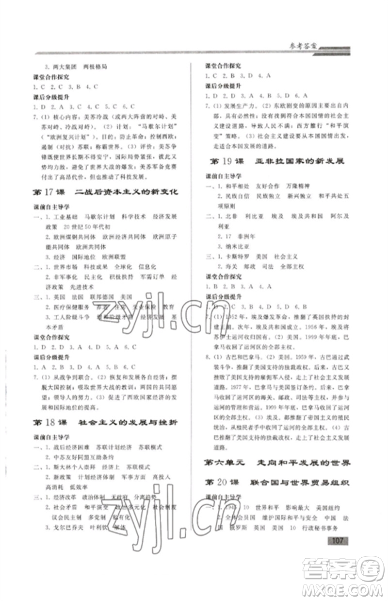 人民教育出版社2023初中同步練習(xí)冊九年級(jí)世界歷史下冊人教版參考答案