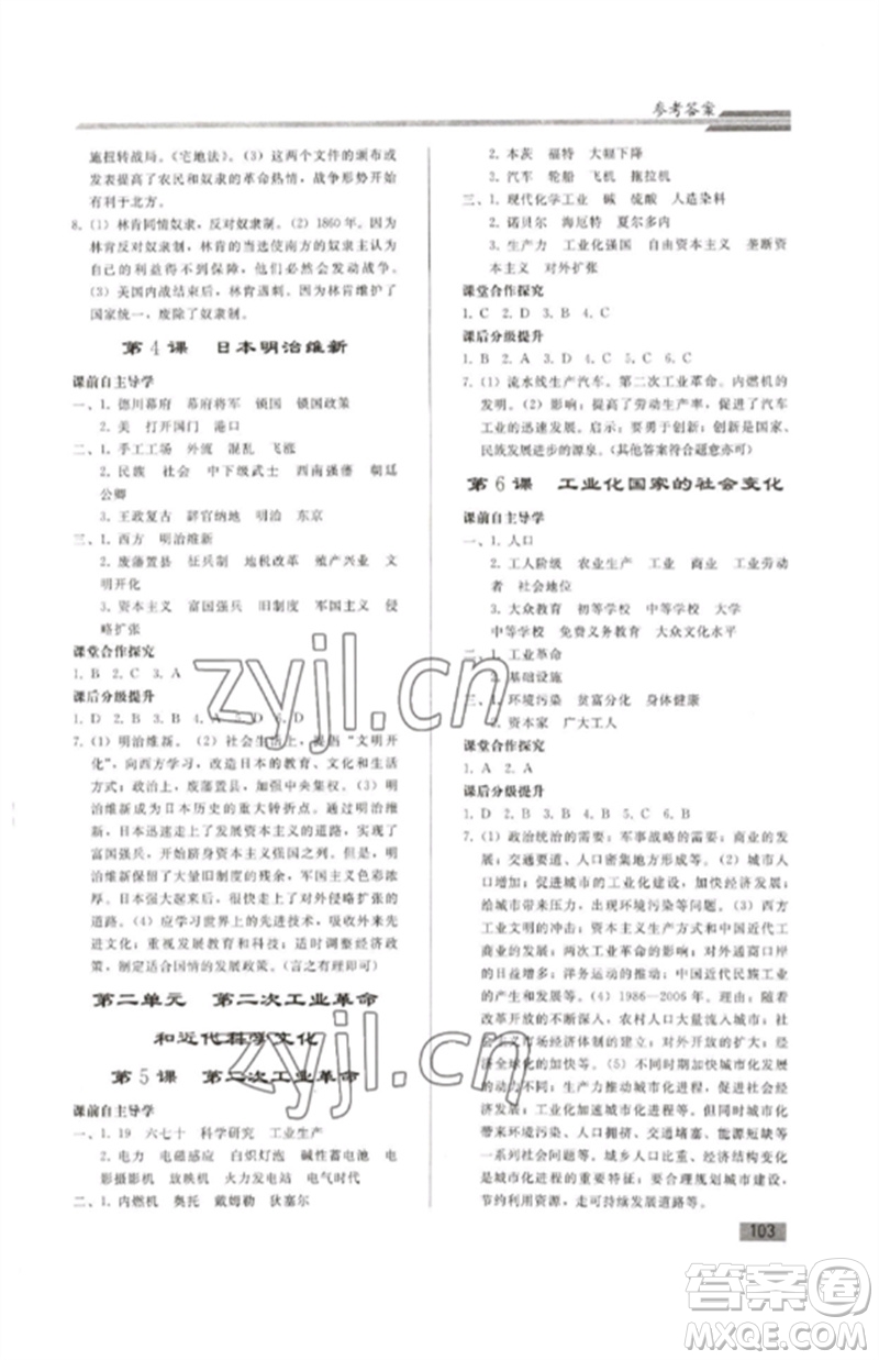 人民教育出版社2023初中同步練習(xí)冊九年級(jí)世界歷史下冊人教版參考答案