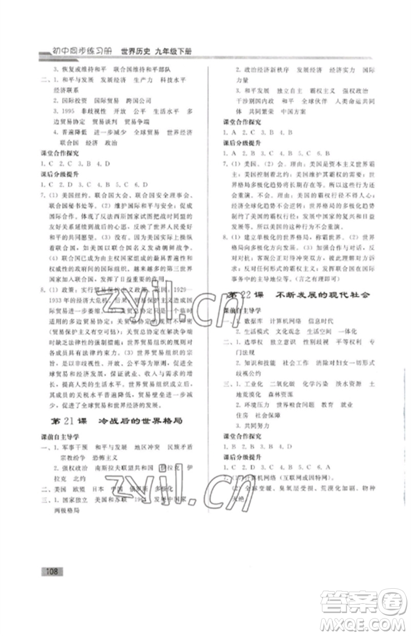 人民教育出版社2023初中同步練習(xí)冊九年級(jí)世界歷史下冊人教版參考答案