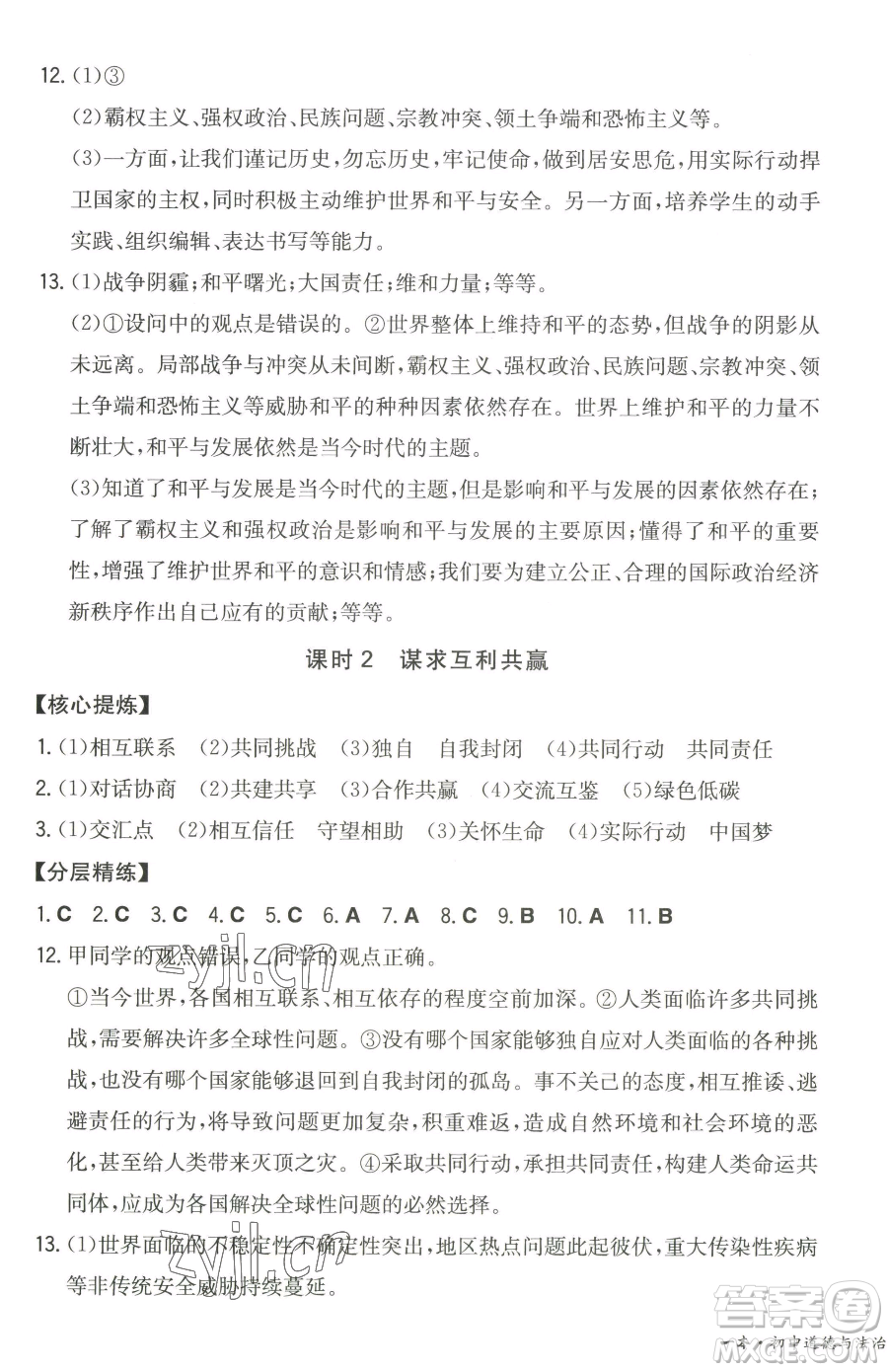 湖南教育出版社2023一本同步訓(xùn)練九年級(jí)下冊(cè)道德與法治人教版參考答案