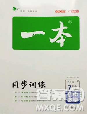湖南教育出版社2023一本同步訓(xùn)練七年級下冊數(shù)學(xué)北師大版參考答案