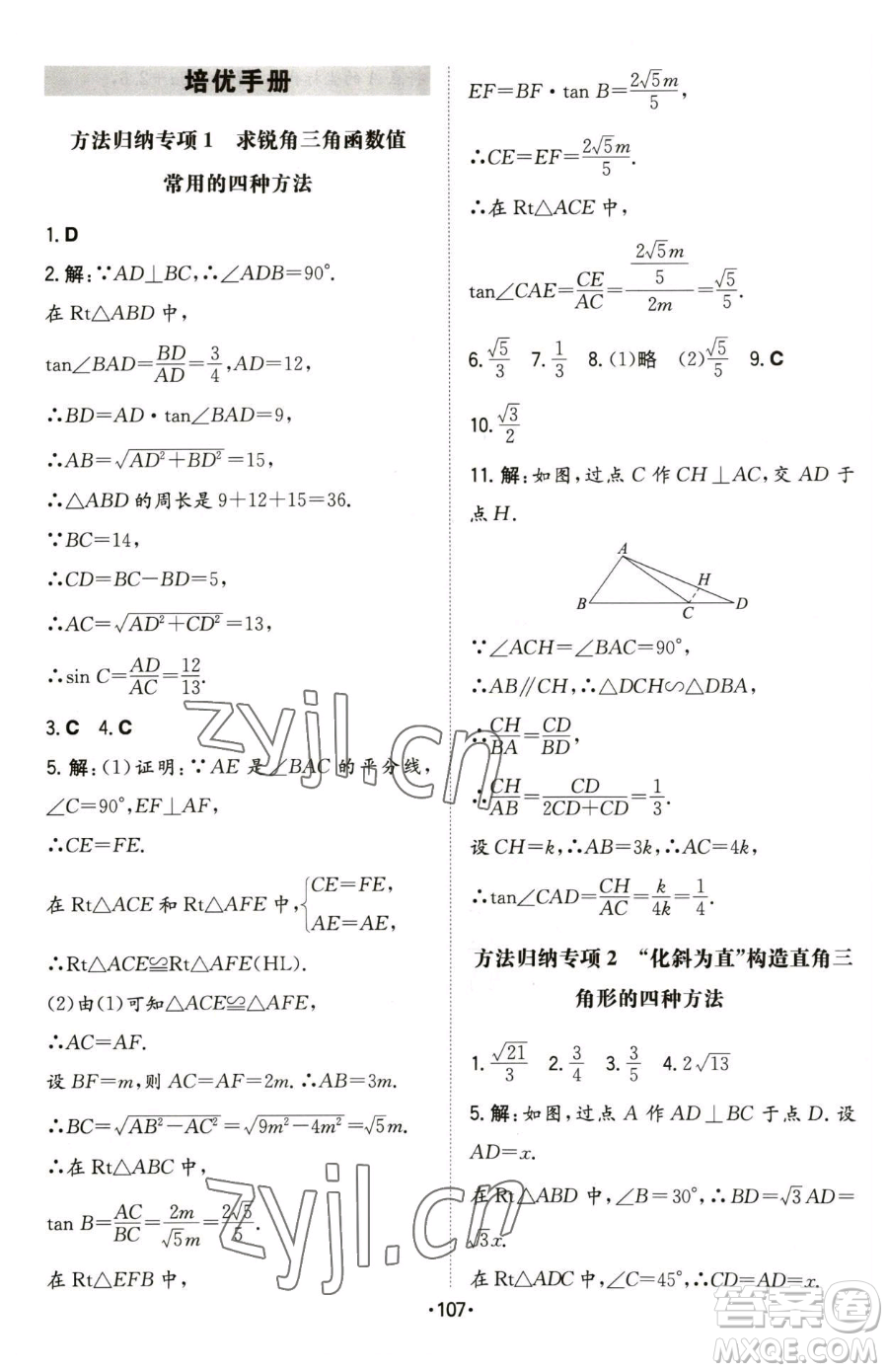 湖南教育出版社2023一本同步訓(xùn)練九年級(jí)下冊(cè)數(shù)學(xué)北師大版參考答案