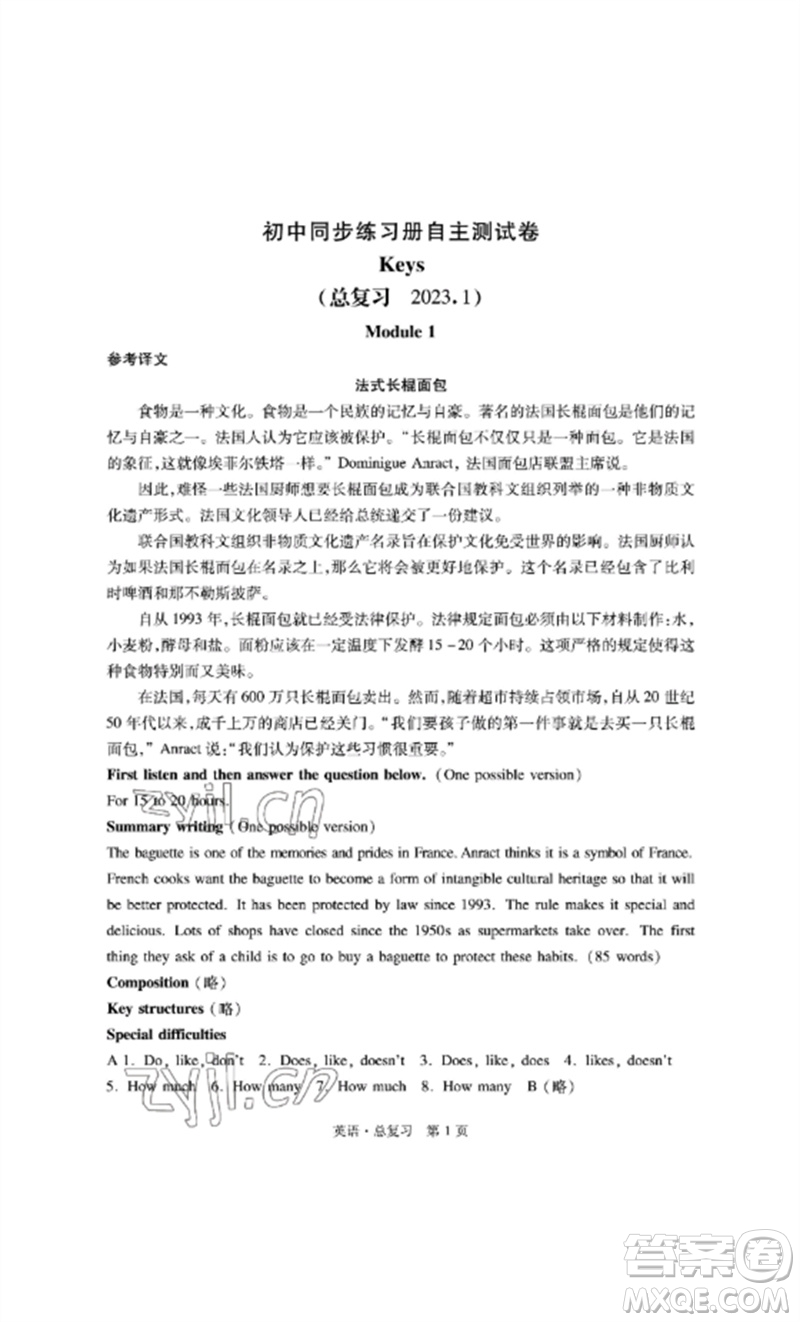 明天出版社2023初中同步練習(xí)冊(cè)自主測(cè)試卷九年級(jí)英語(yǔ)總復(fù)習(xí)人教版參考答案