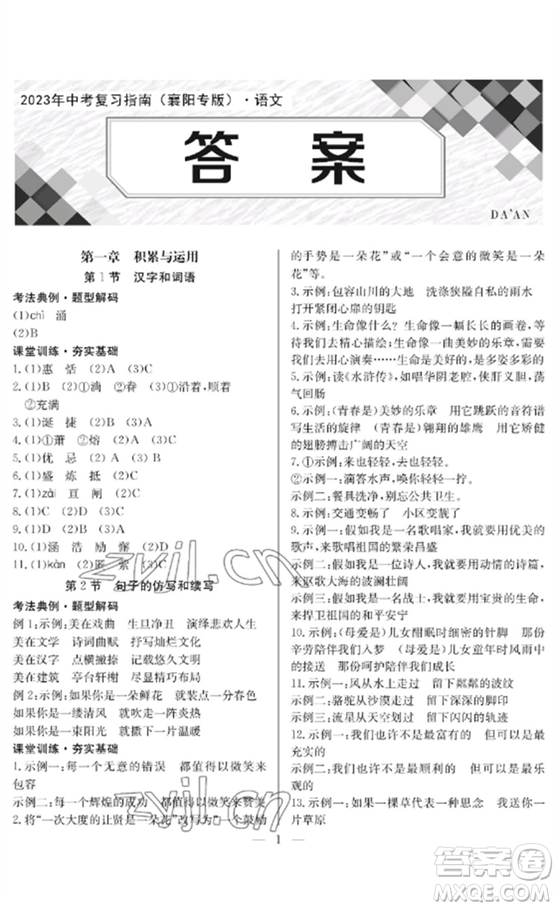 長(zhǎng)江少年兒童出版社2023中考復(fù)習(xí)指南語(yǔ)文通用版襄陽(yáng)專(zhuān)版參考答案