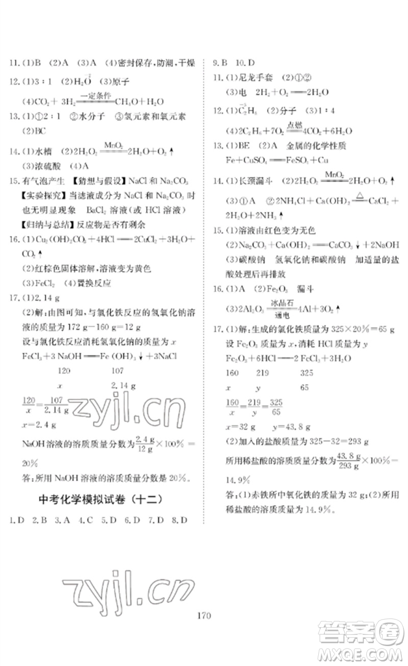 長(zhǎng)江少年兒童出版社2023中考復(fù)習(xí)指南化學(xué)通用版黃石專版參考答案