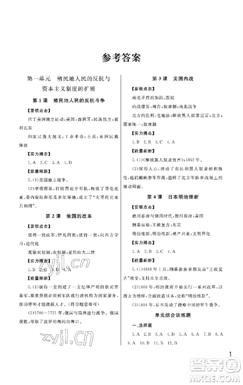 武漢出版社2023智慧學習天天向上課堂作業(yè)九年級歷史下冊人教版參考答案